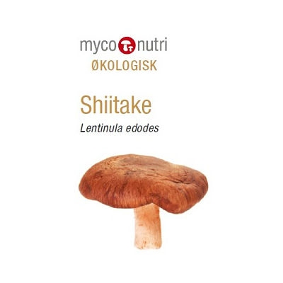 Økologisk Shiitake
